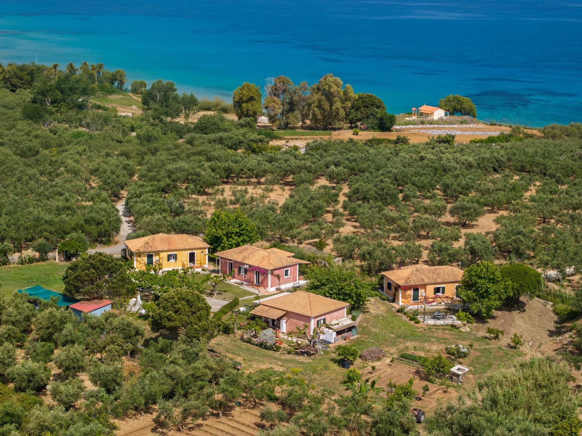 Nemorosa Holiday Houses Meson Yerakarion Luaran gambar