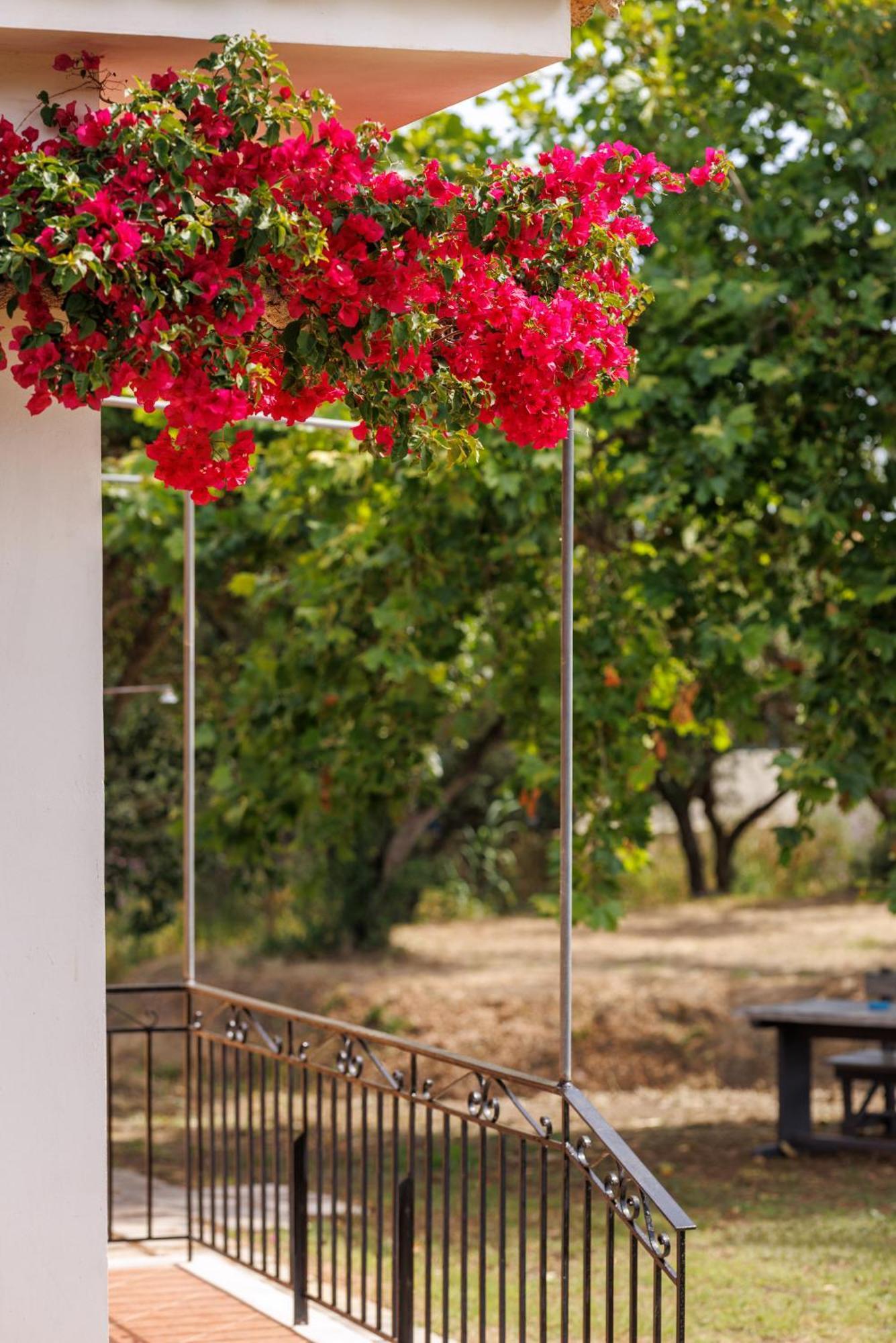 Nemorosa Holiday Houses Meson Yerakarion Luaran gambar